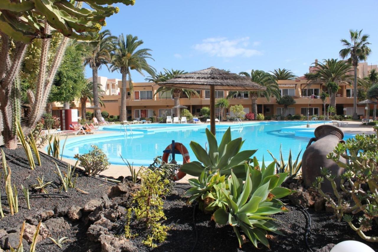Apartment Papaya Dunes With Pool Corralejo By Holidays Home Eksteriør bilde